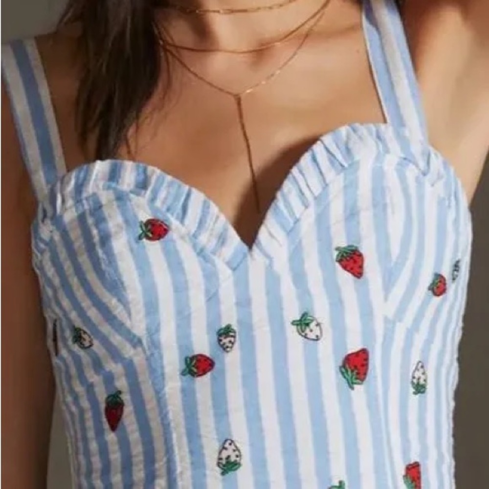 Anthropologie Maeve Blue & White Striped Sweetheart Strawberry Crop Top, Size 2
